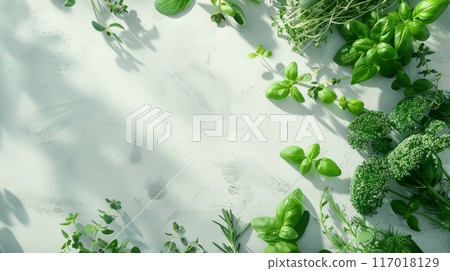 Fresh green herbs and microgreens banner Fresh green herbs and microgreens banner 117018129