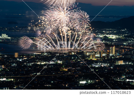 Fireworks 117018623