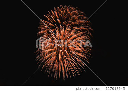Fireworks blooming in the night sky 117018645