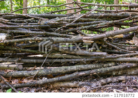 Stacked branches Stacked branches 117018772