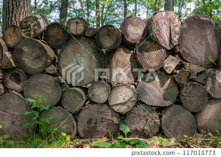 Stacked log Stacked log 117018773