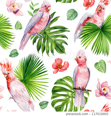 Pink cockatoo Seamless Pattern watercolor tropical palm leaves parrots birds, flowers. flora background Tropic Patterns Pink cockatoo Seamless Pattern watercolor tropical palm leaves parrots birds, flowers. flora background Tropic Patterns 117018805