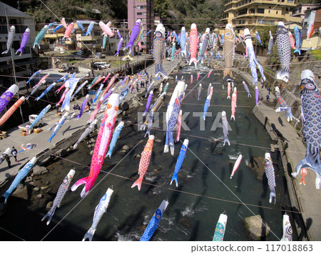 Installation of the carp streamers, a specialty of Tsuetate Onsen, Shimoshiro, Oguni-machi, Aso-gun, Kumamoto Prefecture Installation of the carp streamers, a specialty of Tsuetate Onsen, Shimoshiro, Oguni-machi, Aso-gun, Kumamoto Prefecture 117018863