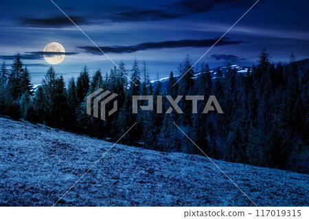 scenery with coniferous forest on a grassy hill at night. mysterious mountain landscape in full moon light. carpathian halloween fairy tail scenery with coniferous forest on a grassy hill at night. mysterious mountain landscape in full moon light. carpathian halloween fairy tail 117019315