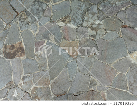 石張徹平 117019356