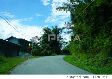 Beautiful Scenic Beauty of North Bengal Road and Nature 4 117019510