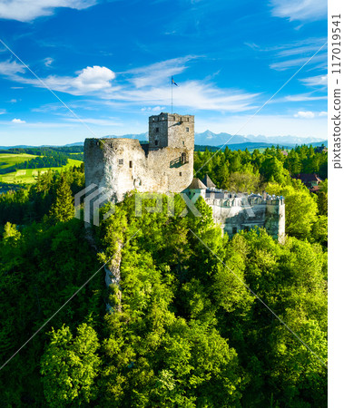 Panoramic view of castle in Niedzica by lake Czorsztyn, Poland 117019541