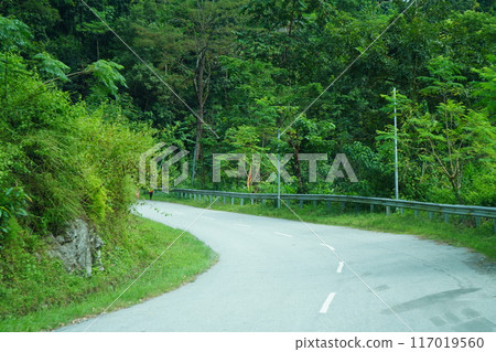 Beautiful Scenic Beauty of North Bengal Road and Nature 117019560