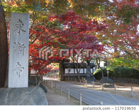 Tozenji Temple in Matsudo City (temple sign, approach and main gate) with beautiful autumn leaves 117019650