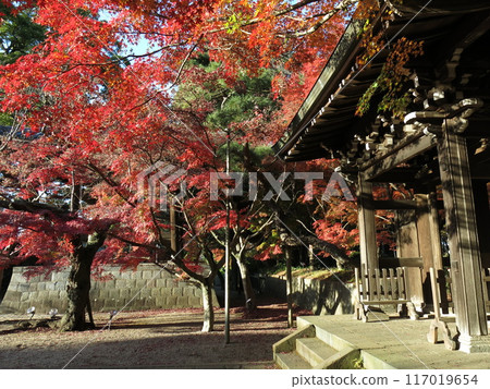 松戶市東善寺的紅葉美麗(中寂門和鐘樓附近) 松戶市東善寺的紅葉美麗(中寂門和鐘樓附近) 117019654