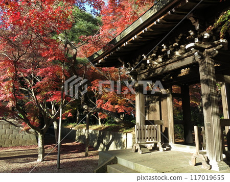 紅葉美麗的松戶市東善寺(中寂門附近) 紅葉美麗的松戶市東善寺(中寂門附近) 117019655