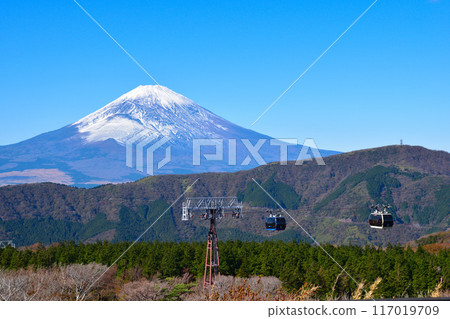 Autumn Hakone Ropeway Mount Fuji 117019709