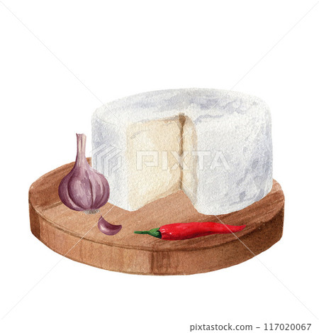 Watercolor hand drawn illustration of kitchen cutting board with soft cheese, garlic and red pepper. For menu, label, design, cards, decor, flyers 117020067