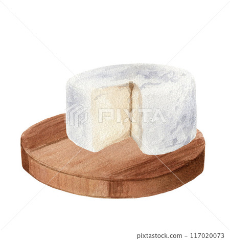 Watercolor hand drawn illustration of kitchen cutting board with soft cheese. Isolated on a white background. For menu, label, design, cards, decor 117020073