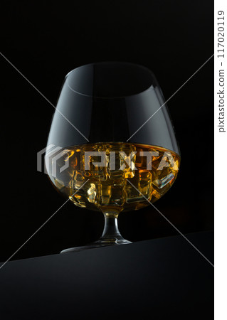 whiskey glass 117020119