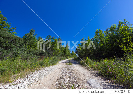 Empty rural road is under blue sky on a sunny day. Summer landscape Empty rural road is under blue sky on a sunny day. Summer landscape 117020268