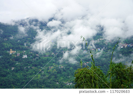 Cloudy Weather in Mountain of North Bengal 9 Cloudy Weather in Mountain of North Bengal 9 117020683