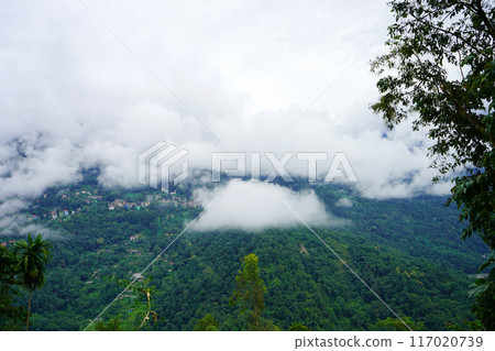 Cloudy Weather in Mountain of North Bengal 15 Cloudy Weather in Mountain of North Bengal 15 117020739