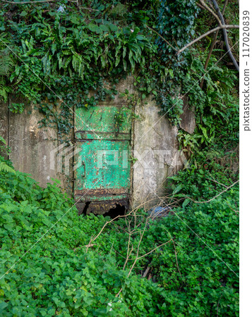 Old rusty broken door to a concrete room. Green old door overgrown with plants. Old rusty broken door to a concrete room. Green old door overgrown with plants. 117020839