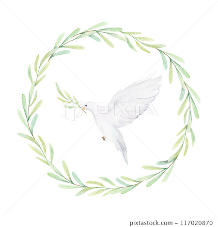 Watercolor white dove and olive branches. White birds in laurel wreath. Pigeon clip art. Hand drawn illustration isolated on background. Decorative design elements 117020870
