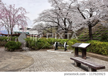 Display wheels and cherry blossoms in full bloom at Katsunuma Railway Heritage Memorial Park (Jinroku Sakura Park) at the old Katsunuma Station in Koshu City 117020923