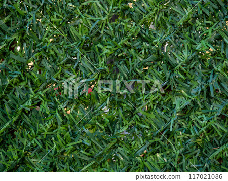 Artificial greenery. Artificial grass background. Plastic greenery on a wire fence. Decorations in the yard 117021086