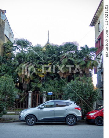 House overgrown with palm trees. House of a famous person. Forgotten building. Huge front garden overgrown with palm trees House overgrown with palm trees. House of a famous person. Forgotten building. Huge front garden overgrown with palm trees 117021102