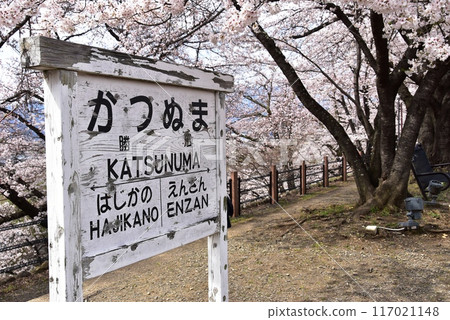 Koshu City: Katsunuma Railway Heritage Memorial Park (Jinroku Sakura Park) walking trails and cherry blossoms in full bloom at the old Katsunuma Station 117021148