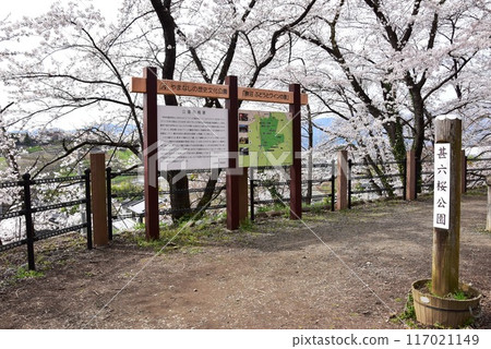 Koshu City: Katsunuma Railway Heritage Memorial Park (Jinroku Sakura Park) walking trails and cherry blossoms in full bloom at the old Katsunuma Station Koshu City: Katsunuma Railway Heritage Memorial Park (Jinroku Sakura Park) walking trails and cherry blossoms in full bloom at the old Katsunuma Station 117021149
