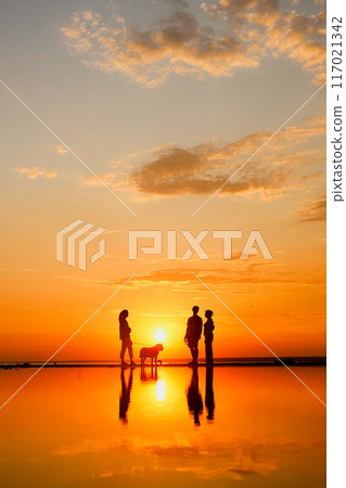 Silhouettes of people against sky seascape sunset sky on sea or ocean 117021342