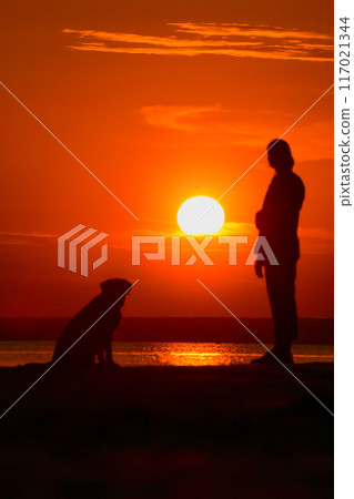 woman and Labrador retriever dog sunset by sea. owner and his pet are walking on beach woman and Labrador retriever dog sunset by sea. owner and his pet are walking on beach 117021344