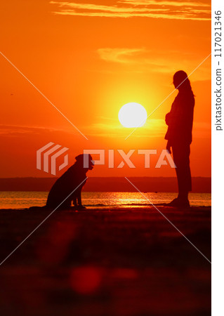 woman and Labrador retriever dog sunset by sea. owner and his pet are walking on beach 117021346
