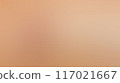 The flowing gradient produced a sense of energy and vitality within the image. 117021667