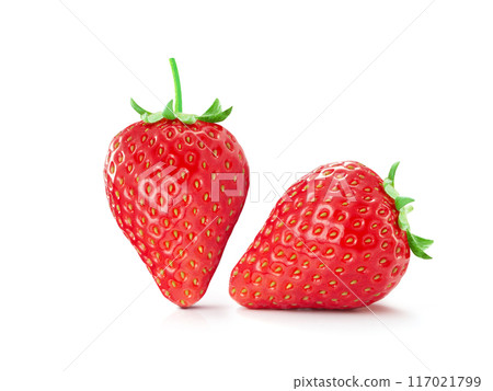 ripe strawberries fresh organic strawberries Two strawberries isolated on white background. ripe strawberries fresh organic strawberries Two strawberries isolated on white background. 117021799