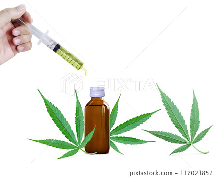 Cold pressed cannabis in jar with fresh cannabis leaves isolated on white background. Cold pressed cannabis in jar with fresh cannabis leaves isolated on white background. 117021852