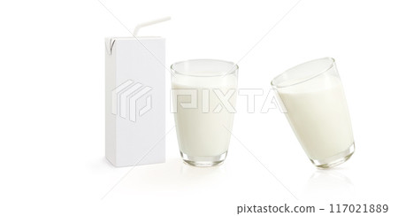 Milk in a glass and an empty milk carton for text. Milk in a glass and an empty milk carton for text. 117021889