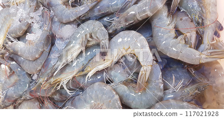 close up fresh shrimps from top view ready for sale at the market, shrimps background with copy space 117021928
