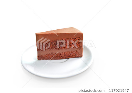 delicious chocolate cake on a white plate on a white background 117021947