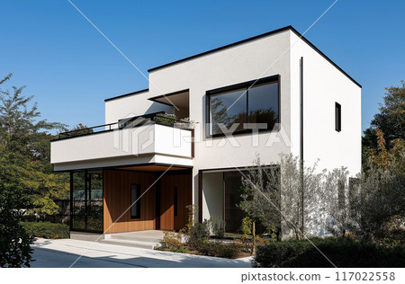 獨立式住宅的圖像 117022558