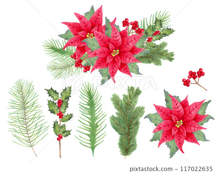 Christmas set with poinsettia flower, holly berries, leaves, conifer branches. Isolated hand drawn watercolor art. Composition for winter holidays New Year, Christmas. Clipart for postcards, labels Christmas set with poinsettia flower, holly berries, leaves, conifer branches. Isolated hand drawn watercolor art. Composition for winter holidays New Year, Christmas. Clipart for postcards, labels 117022635