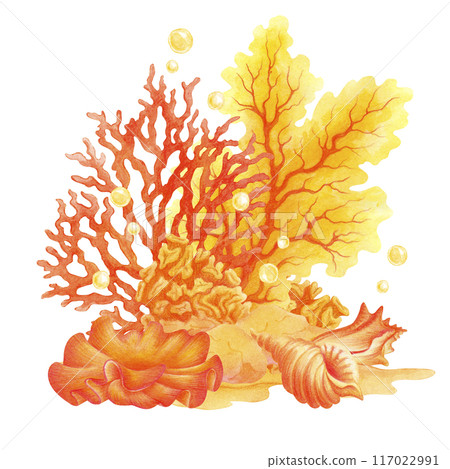 The seabed with corals, shells, seaweed and bubbles. Underwater world watercolor illustration. Isolated composition for summer or beach prints, menus, postcards, posters decoration, t-shirts design The seabed with corals, shells, seaweed and bubbles. Underwater world watercolor illustration. Isolated composition for summer or beach prints, menus, postcards, posters decoration, t-shirts design 117022991