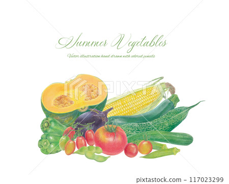 手繪夏季蔬菜的向量圖解 117023299
