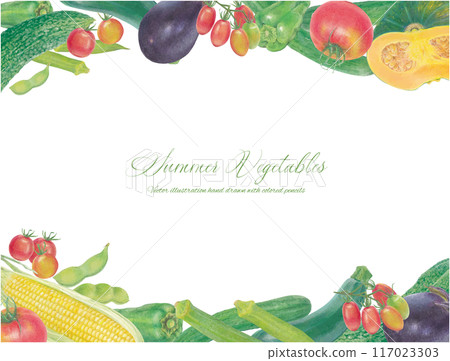 手繪夏季蔬菜的向量圖框架 117023303