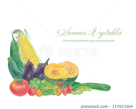 Hand drawn vector corner frame of summer vegetables Hand drawn vector corner frame of summer vegetables 117023304