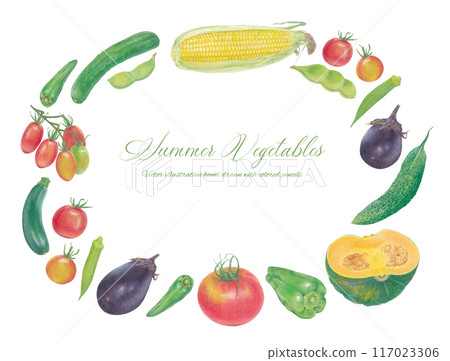 Hand drawn vector illustration frame of summer vegetables 117023306