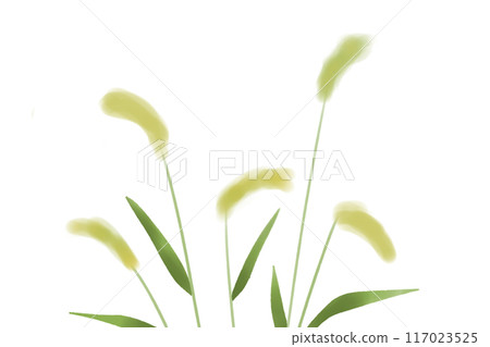 因紐特草、逗貓卡1 117023525