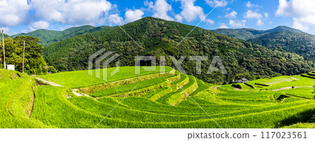 Fresh green O-Nakao terraced panorama [Nagasaki City] 117023561