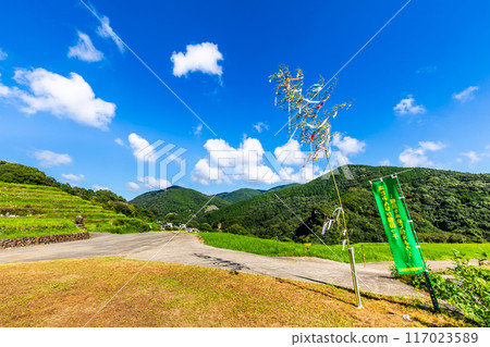 Fresh green onaka rice terraces [Nagasaki City] 117023589