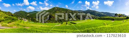 Fresh green O-Nakao terraced panorama [Nagasaki City] 117023610