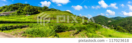 Fresh green O-Nakao terraced panorama [Nagasaki City] 117023618